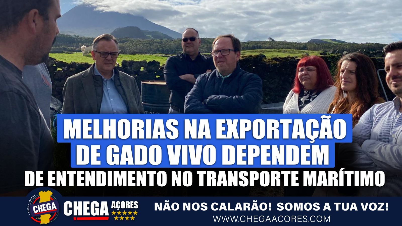 MELHORIAS NA EXPORTAÇÃO DE GADO VIVO DEPENDEM DE ENTENDIMENTO NO TRANSPORTE MARÍTIMO