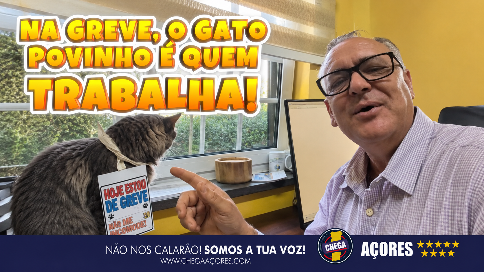 😁 NA GREVE, O GATO POVINHO É QUEM TRABALHA! 😁